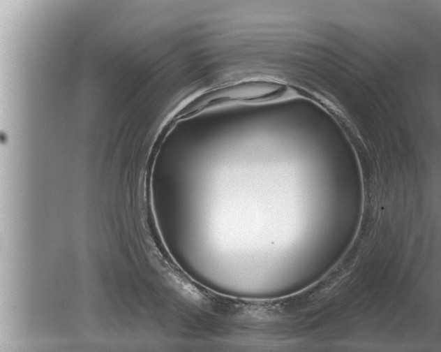 X0000080130790200612221856