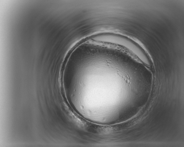 X0000080130791200612221856