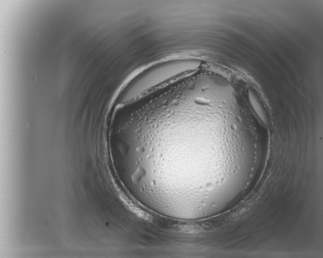 X0000080130792200612221856