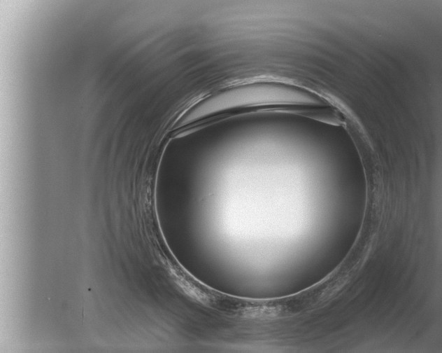 X0000080130793200612221856