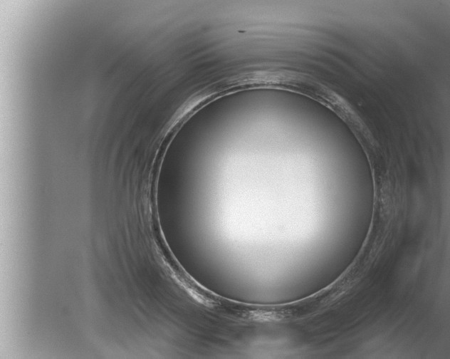 X0000080130794200612221856