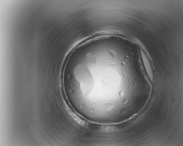 X0000080130795200612221856