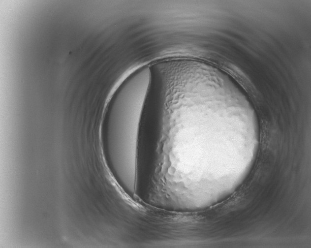 X0000080130796200612221856