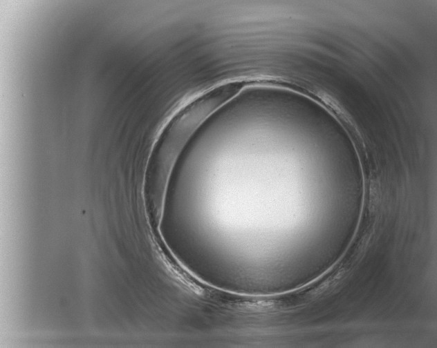 X0000080130797200612221856