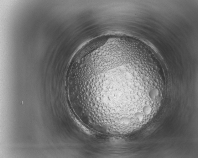 X0000080130799200612221856