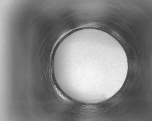 X0000080130800200612221856