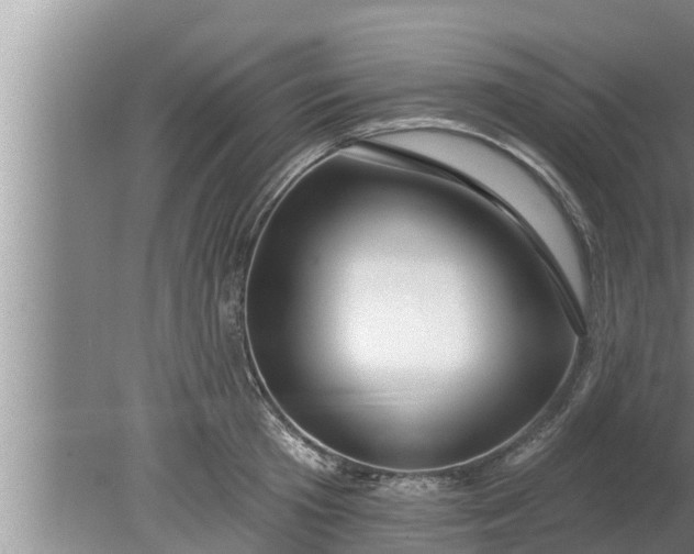 X0000080130801200612221856