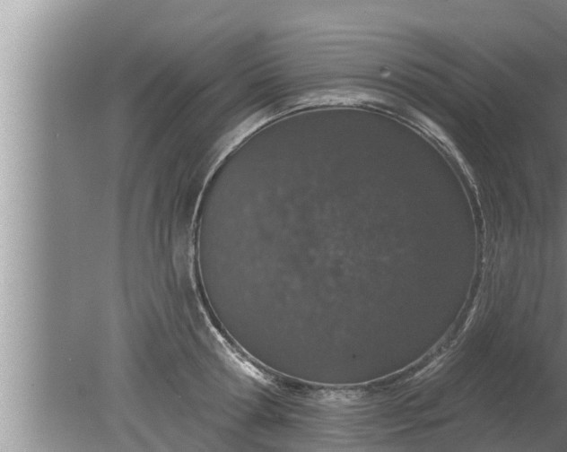 X0000080130802200612221856