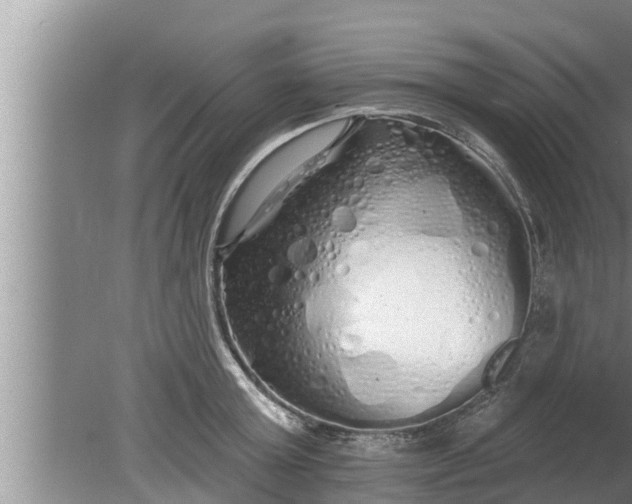 X0000080130803200612221856