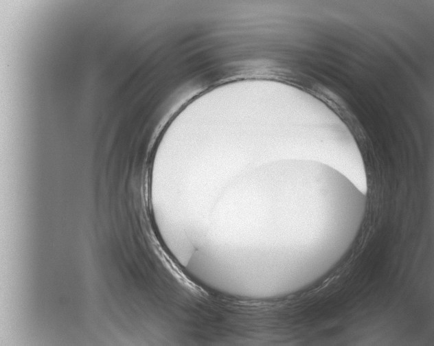 X0000080130804200612221856