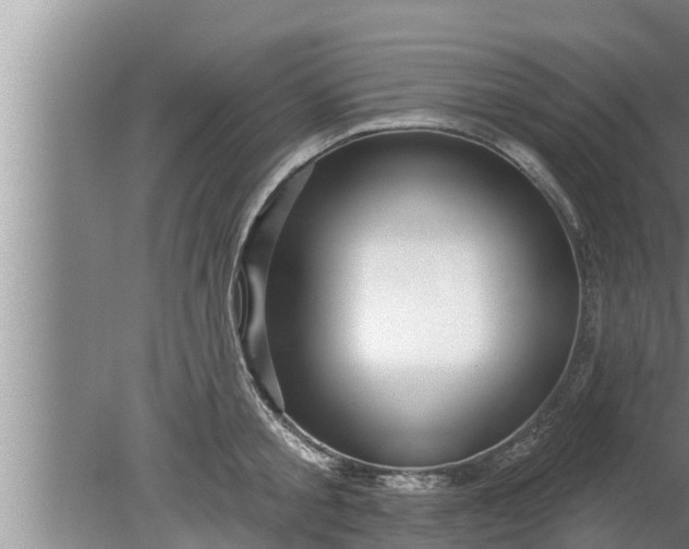 X0000080130805200612221856