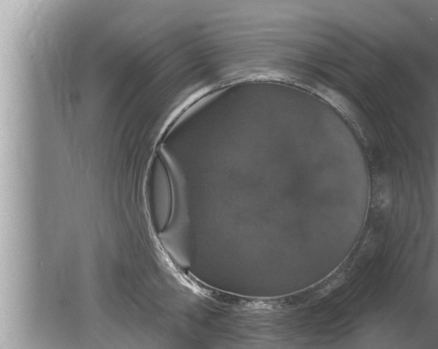 X0000080130806200612221856