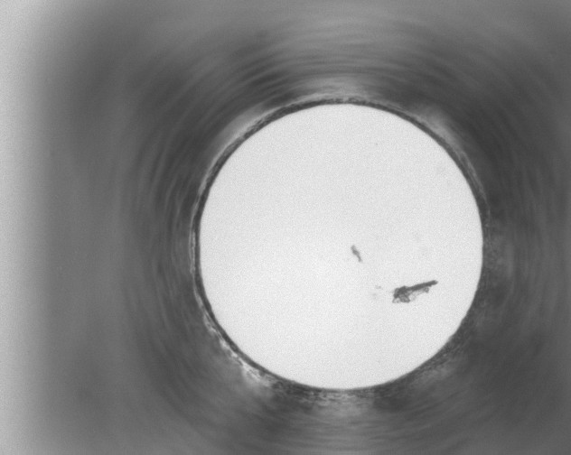 X0000080130807200612221856