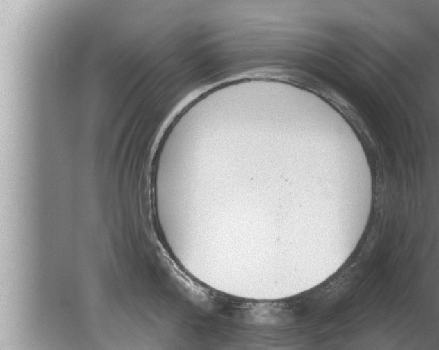 X0000080130808200612221856