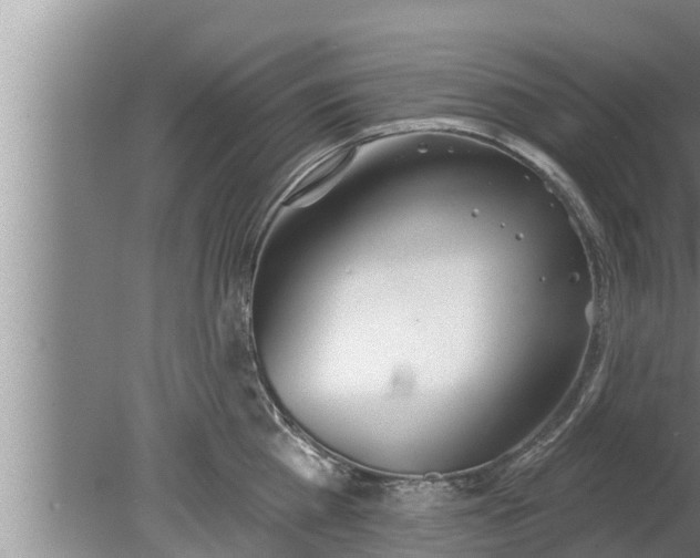 X0000080130809200612221855