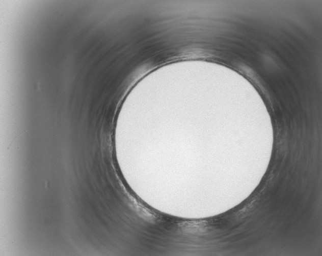 X0000080130810200612221855