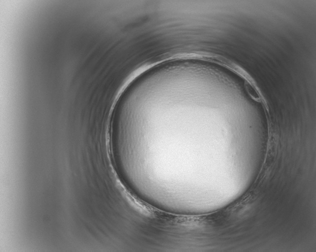 X0000080130811200612221855