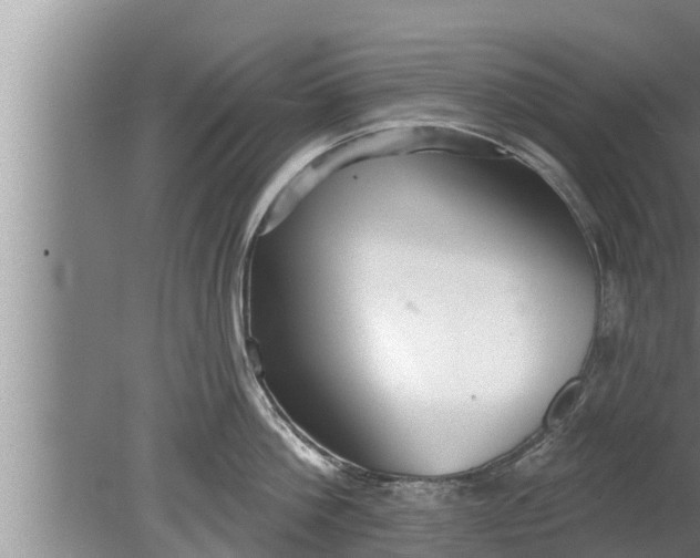 X0000080130812200612221855