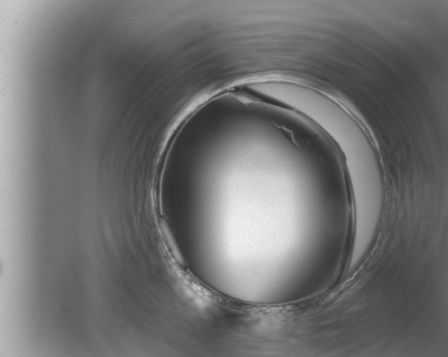 X0000080130813200612221855