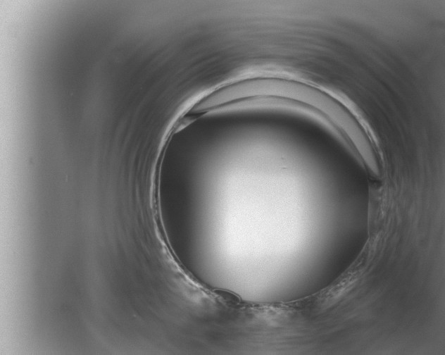 X0000080130815200612221855