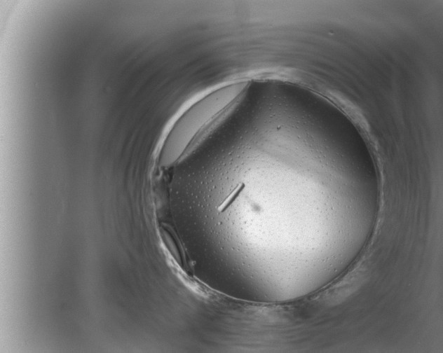 X0000080130816200612221855