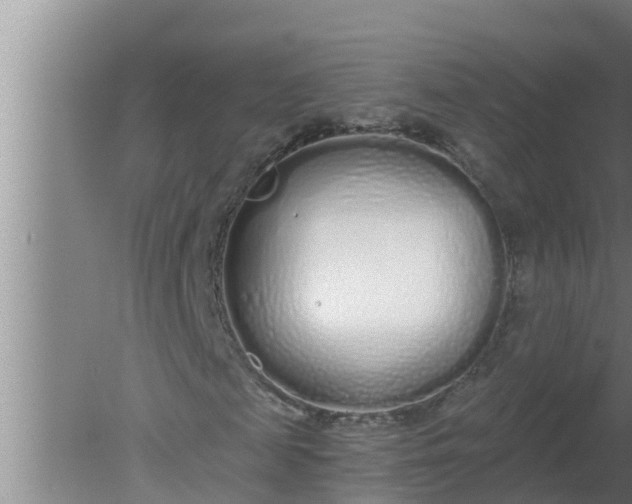 X0000080130817200612221855