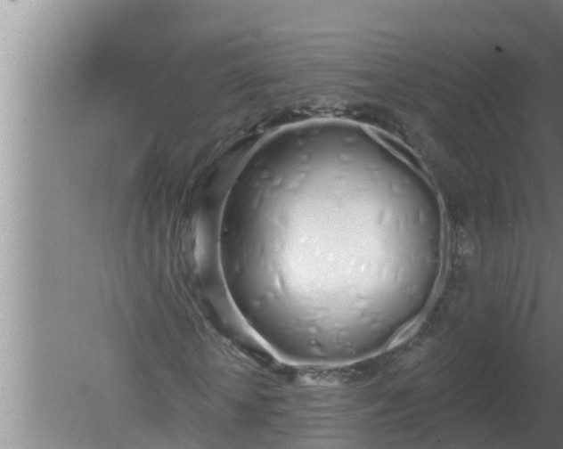 X0000080130818200612221855