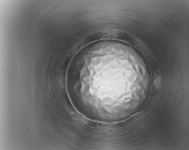 X0000080130819200612221855