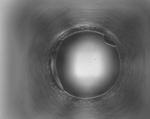 X0000080130822200612221855