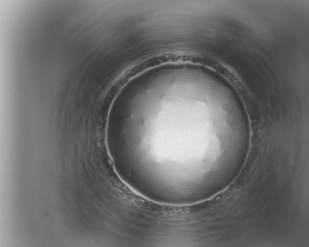 X0000080130823200612221855