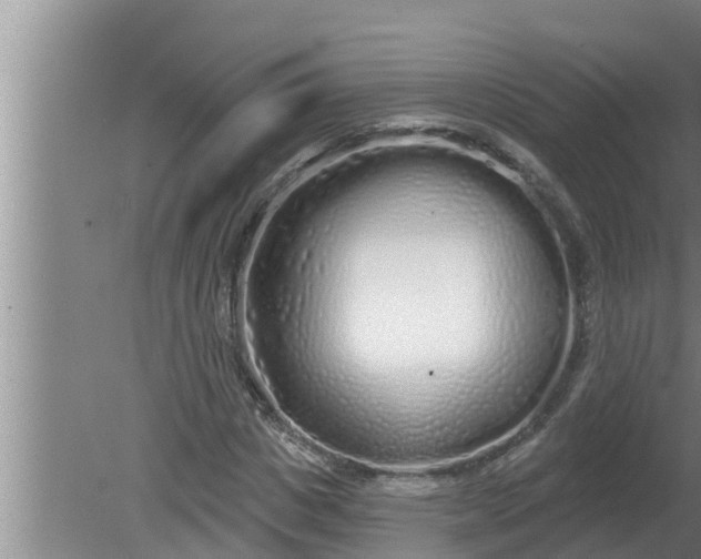 X0000080130825200612221855