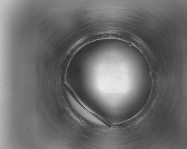 X0000080130826200612221855