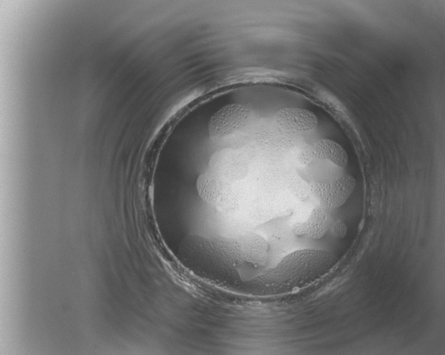 X0000080130827200612221855