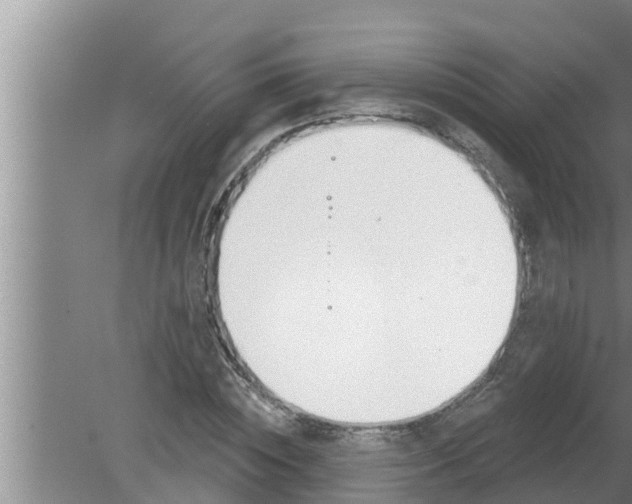 X0000080130828200612221855