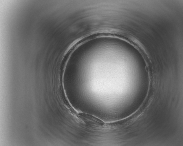 X0000080130829200612221855