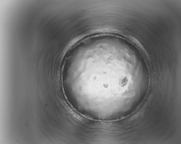 X0000080130831200612221855