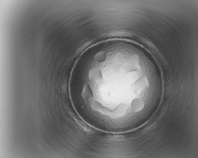 X0000080130833200612221855