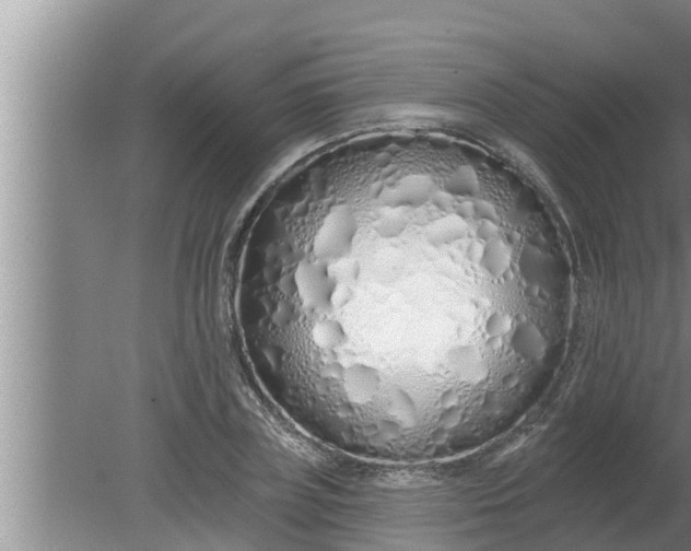 X0000080130835200612221855