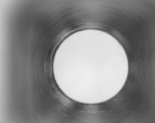 X0000080130836200612221855