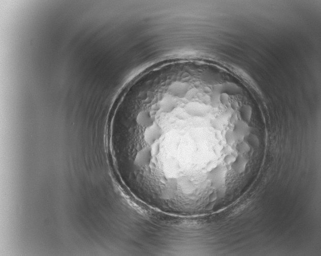 X0000080130839200612221855