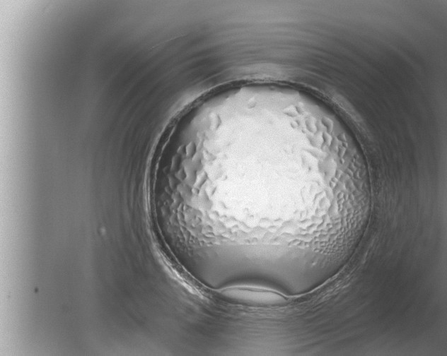 X0000080130840200612221855