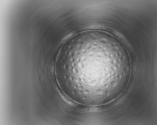 X0000080130841200612221855