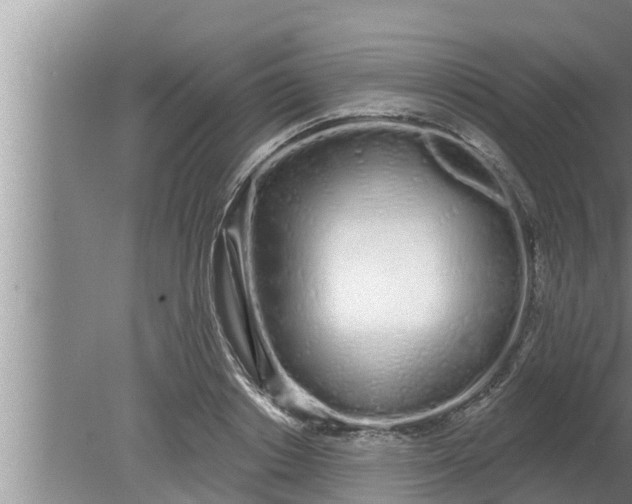 X0000080130842200612221855