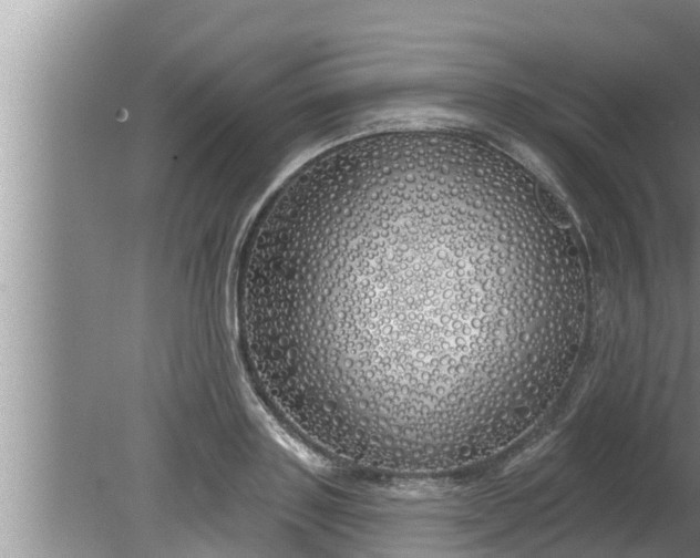 X0000080130843200612221855