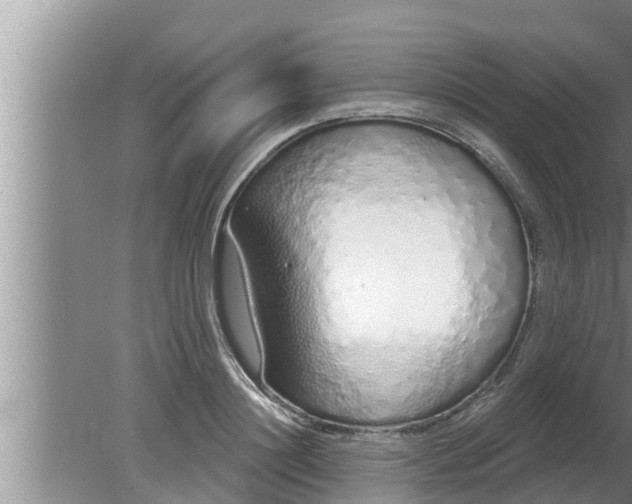 X0000080130844200612221855