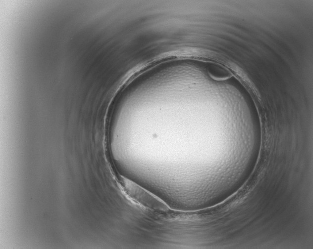 X0000080130845200612221855