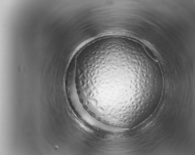 X0000080130846200612221855