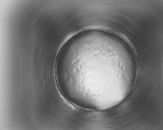 X0000080130847200612221855