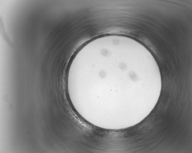 X0000080130848200612221855