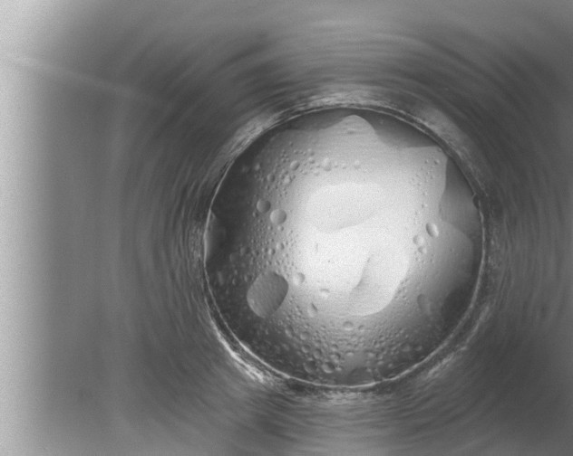 X0000080130849200612221855